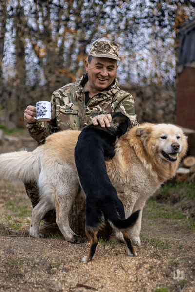 собаки Животные войны в проекте Фото с войны